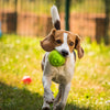 Geef een speeltje aan honden in nood